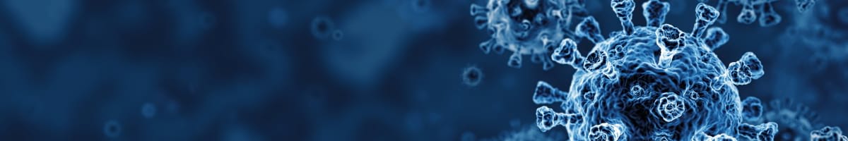 Hybrid Dynamic Models in COVID-19 Planning and Beyond covid横幅- 1200 compressed.jpg——博客