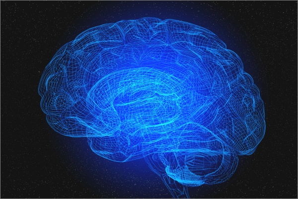 模拟与人工智能研讨会