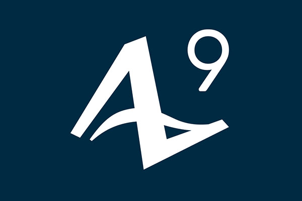 AnyLogic 9:常见问题解答